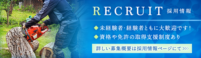 採用情報